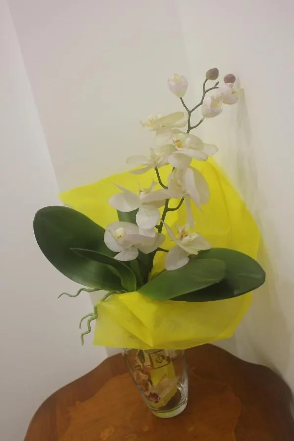 Terra D'Amuri Hotel Boutique Catania Italy